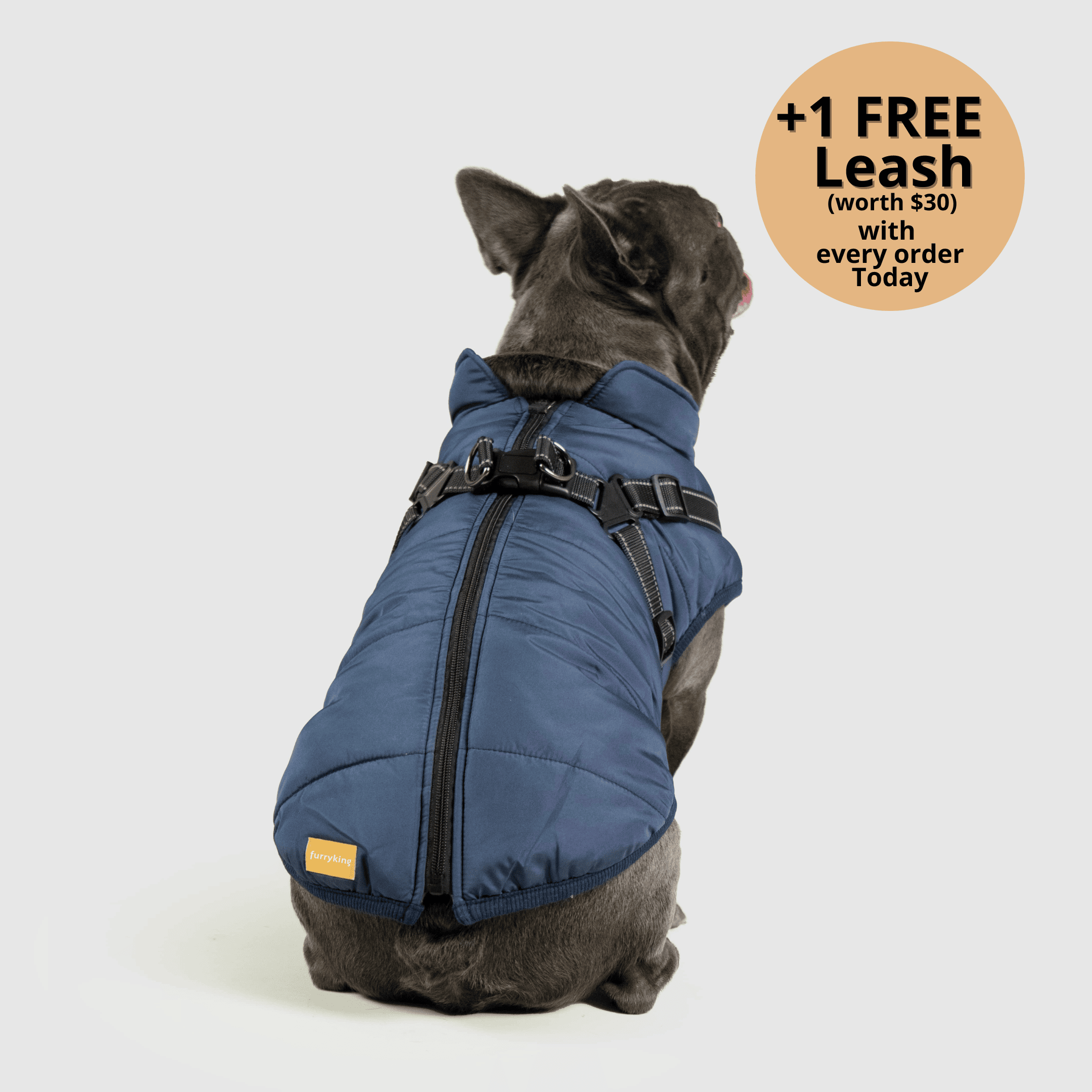 FurryKing 3 in 1 Winterjacke
