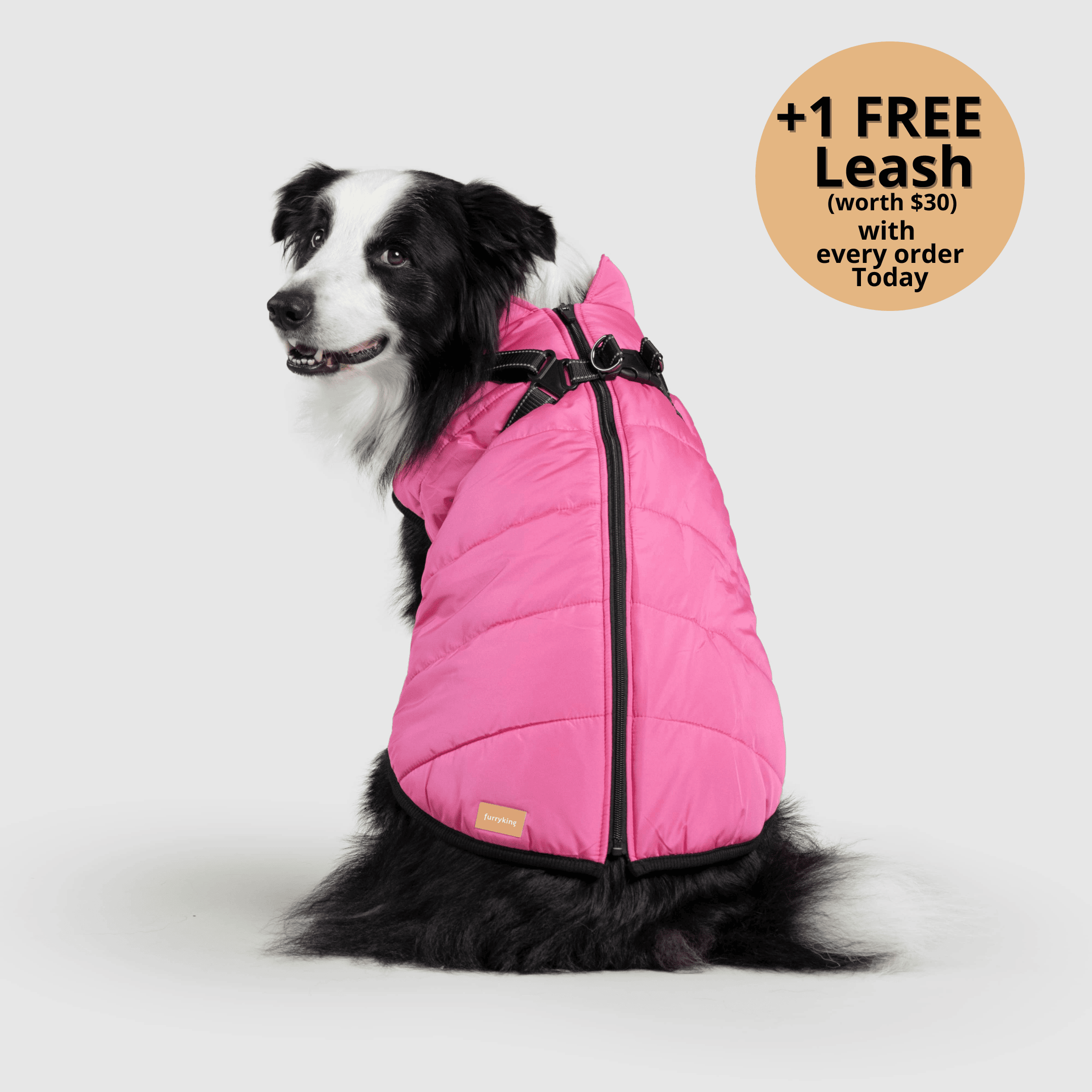 FurryKing 3 in 1 Winterjacke