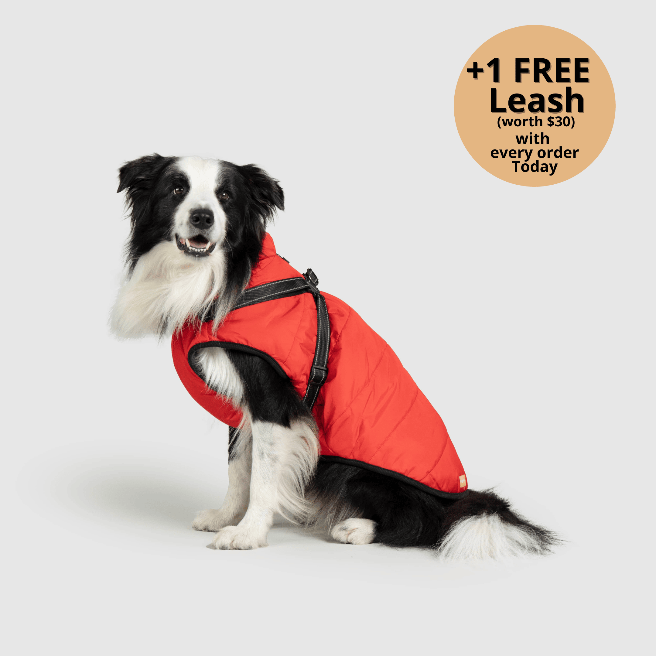 FurryKing 3 in 1 Winterjacke