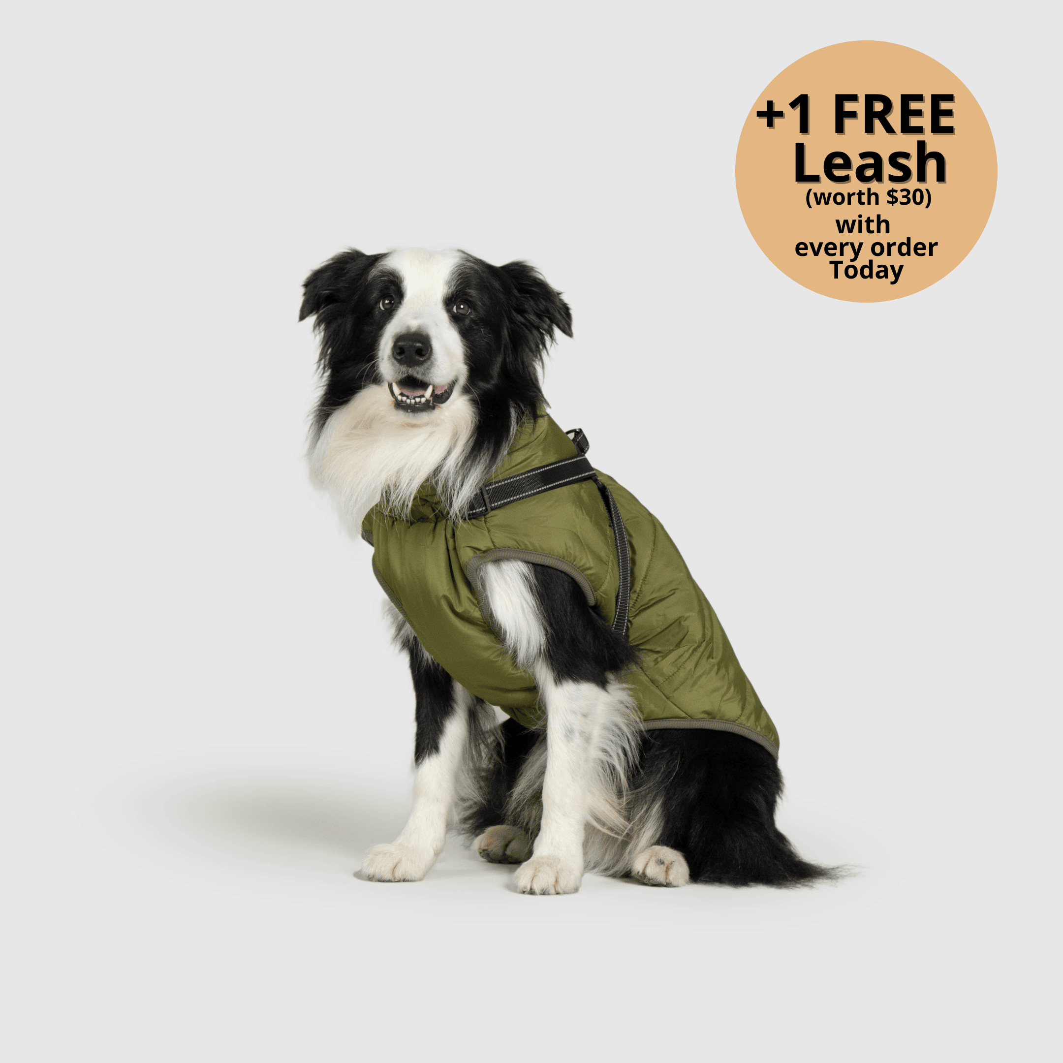 FurryKing 3 in 1 Winterjacke