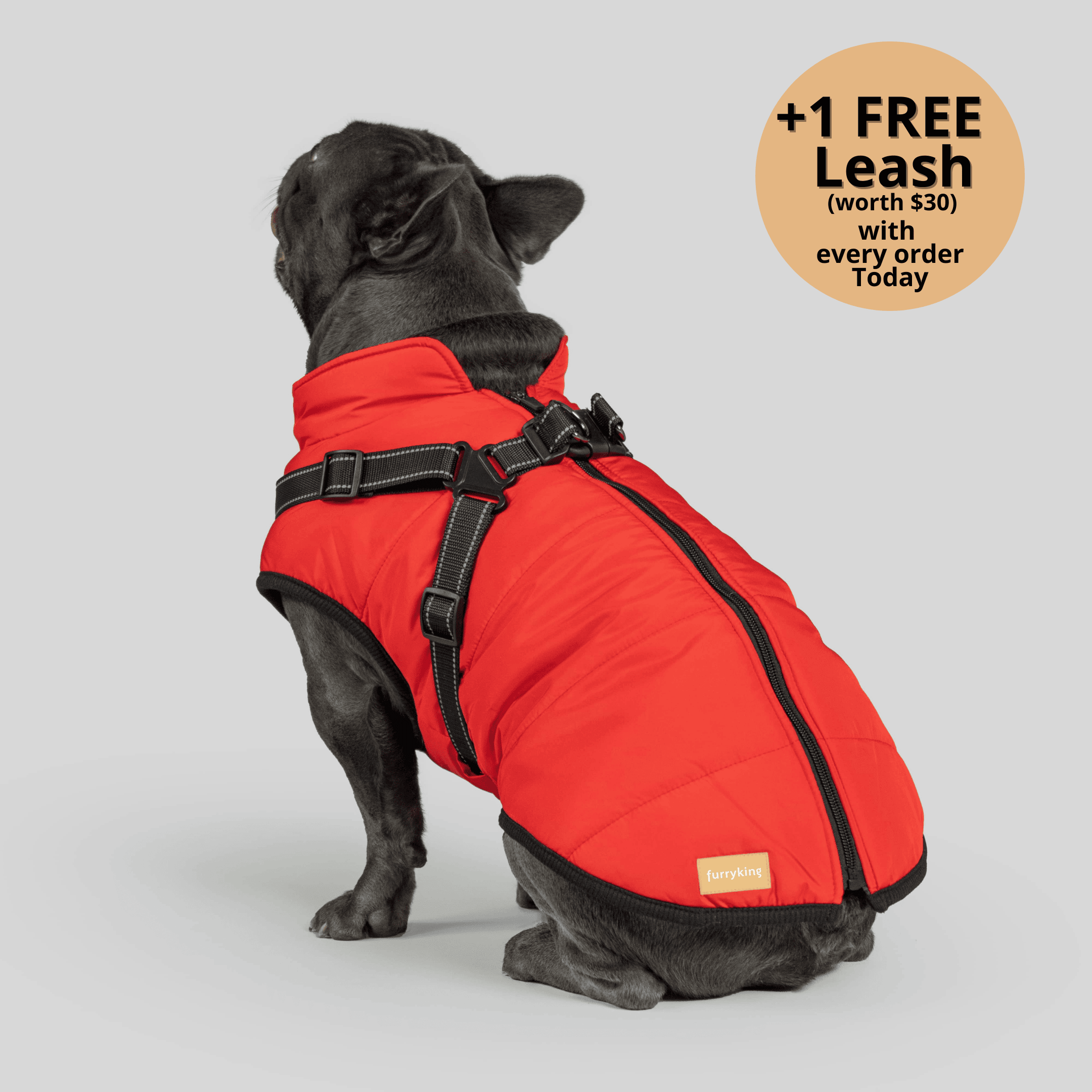 FurryKing 3 in 1 Winterjacke