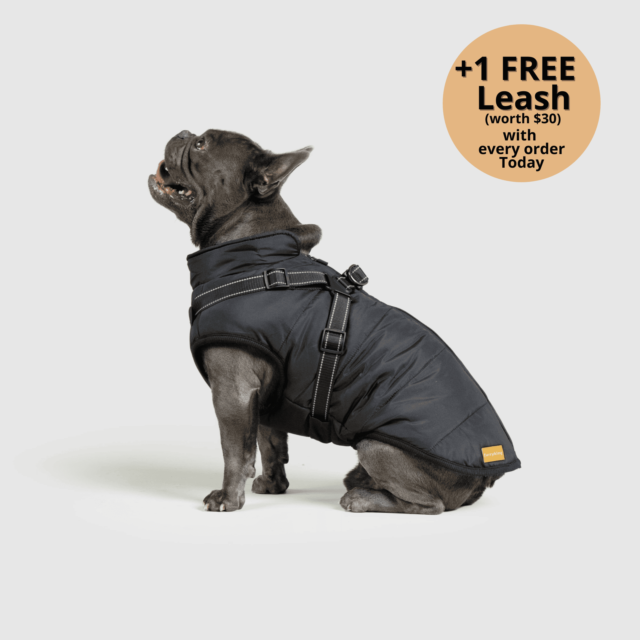 FurryKing 3 in 1 Winterjacke