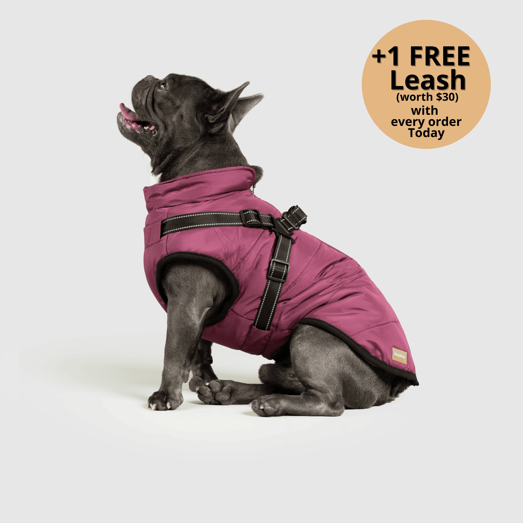 FurryKing 3 in 1 Winterjacke