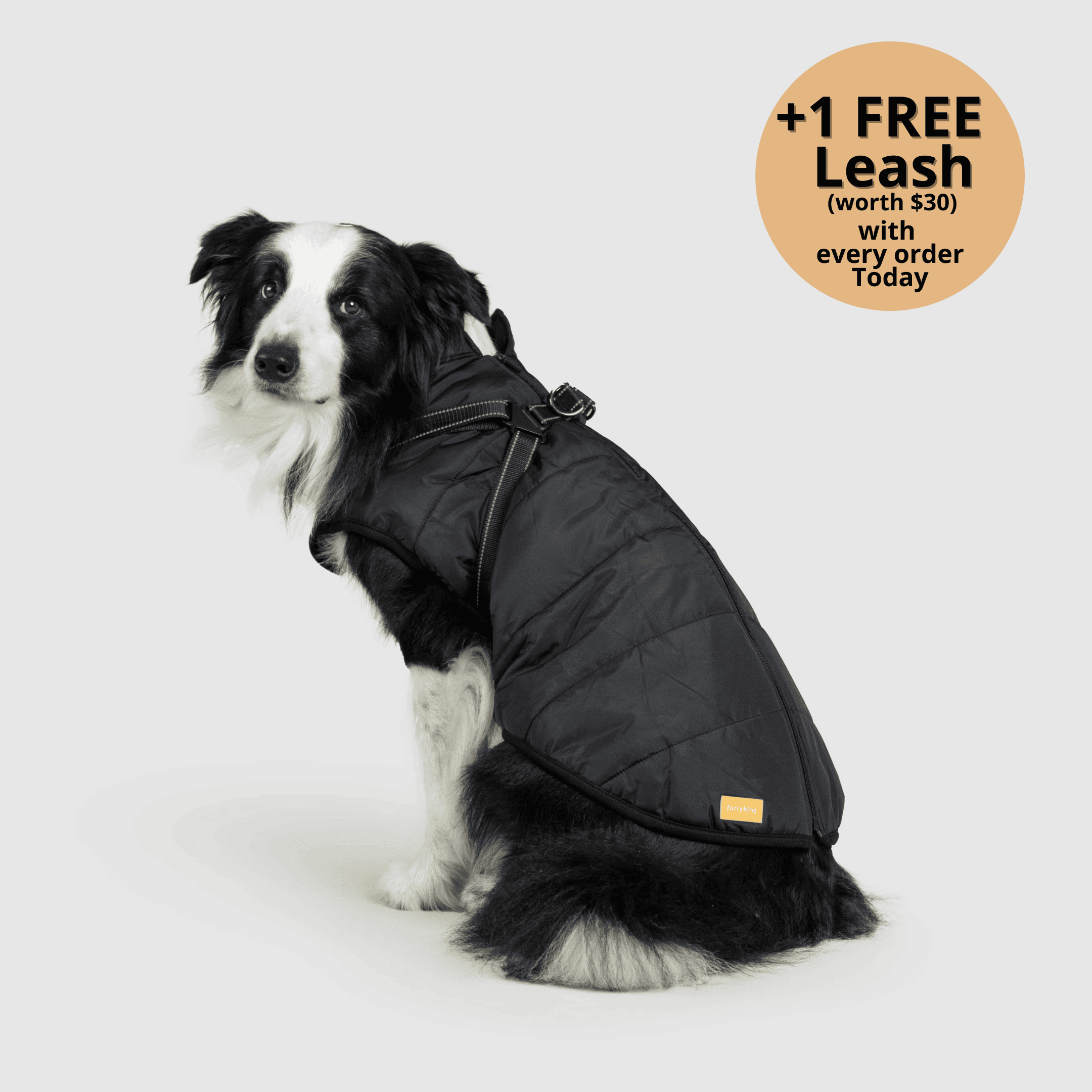 FurryKing 3 in 1 Winterjacke