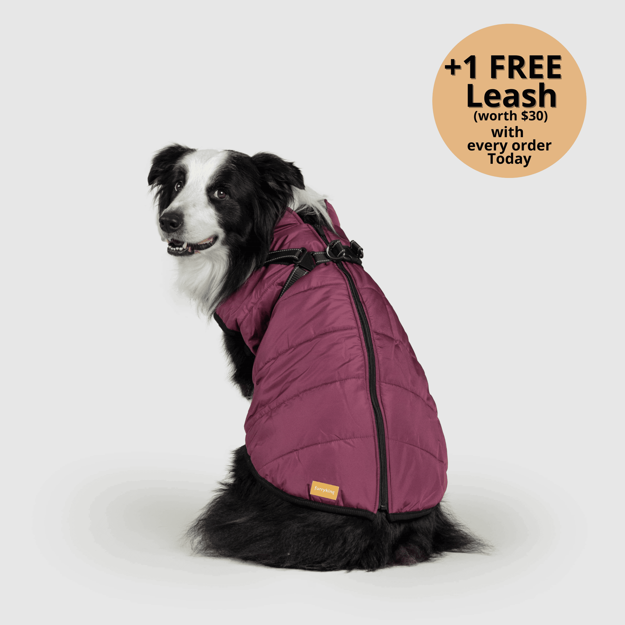 FurryKing 3 in 1 Winterjacke
