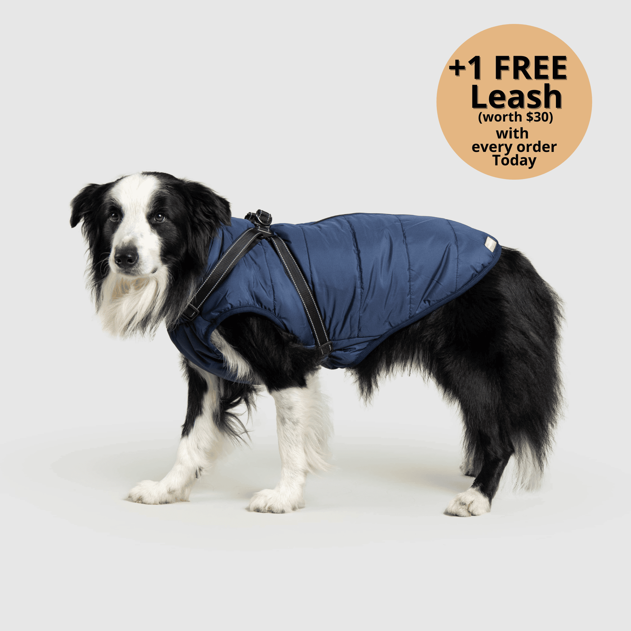 FurryKing 3 in 1 Winterjacke