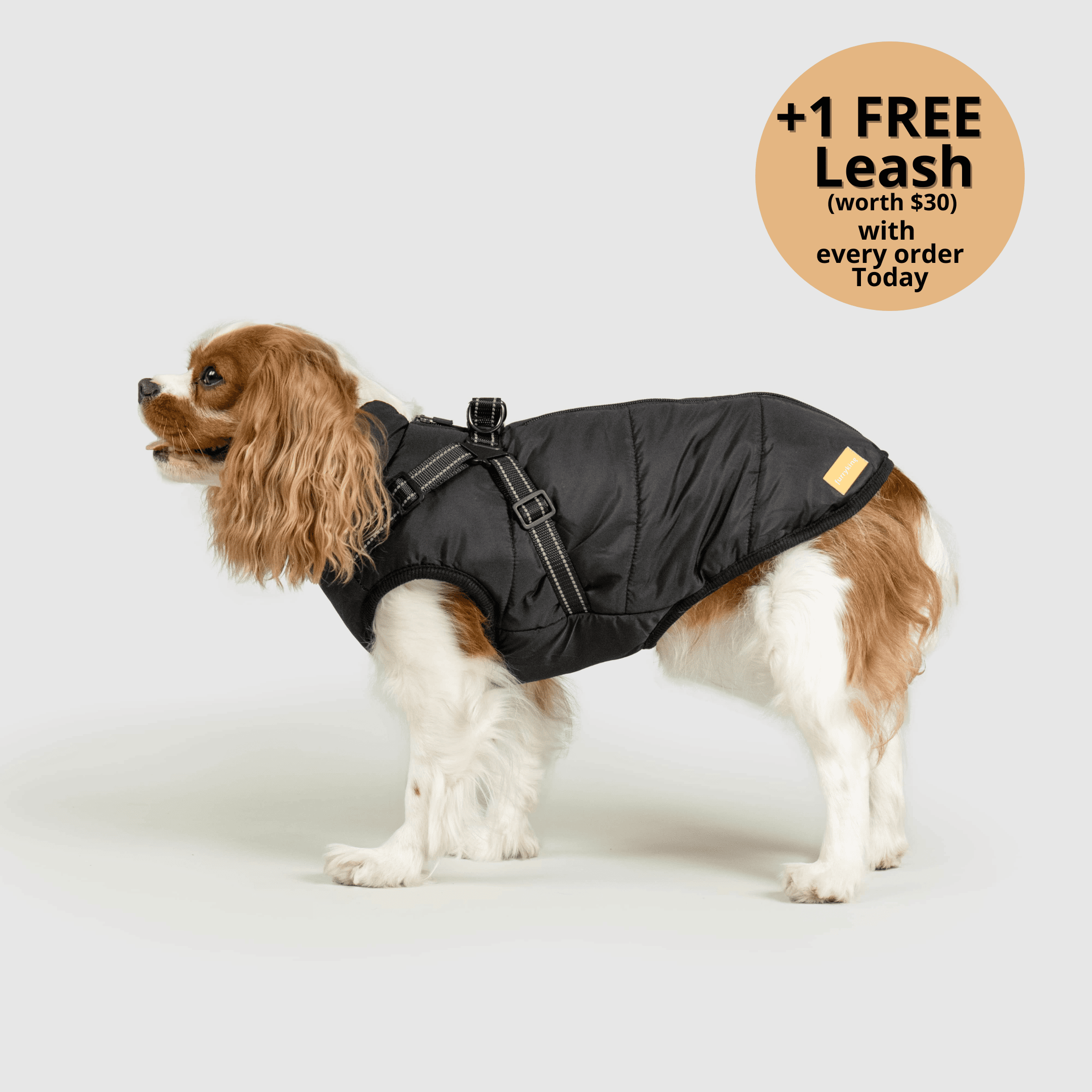 FurryKing 3 in 1 Winterjacke