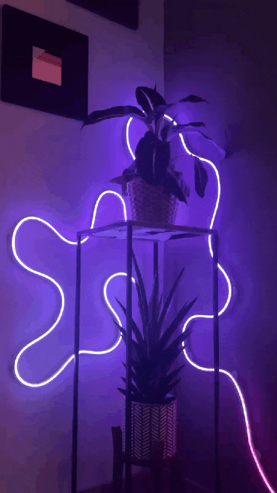 NeonFlow – Flexibles Neonlicht mit Musik-Synchronisation (5 m)